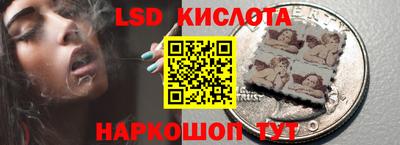 винт Славгород